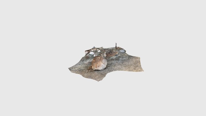 Possible 1g site 3D Model
