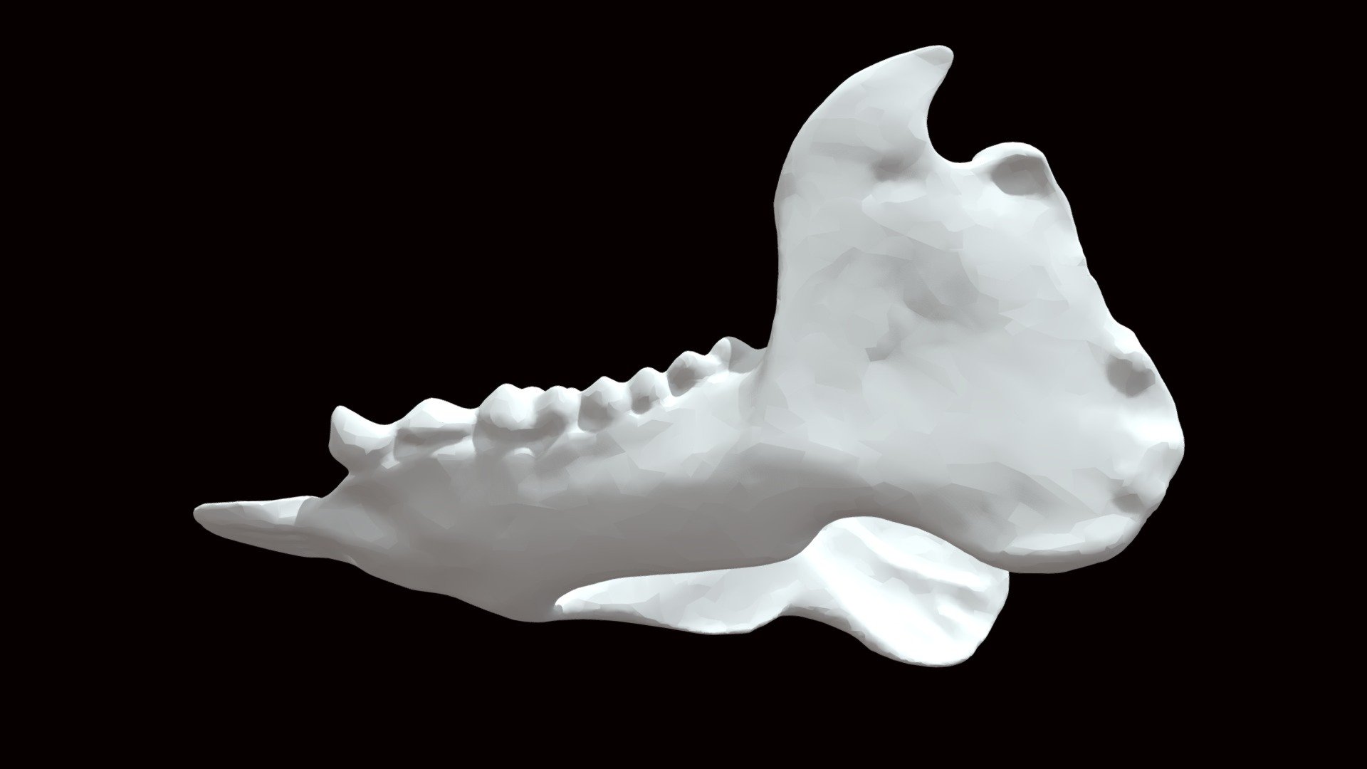 indri-mandible