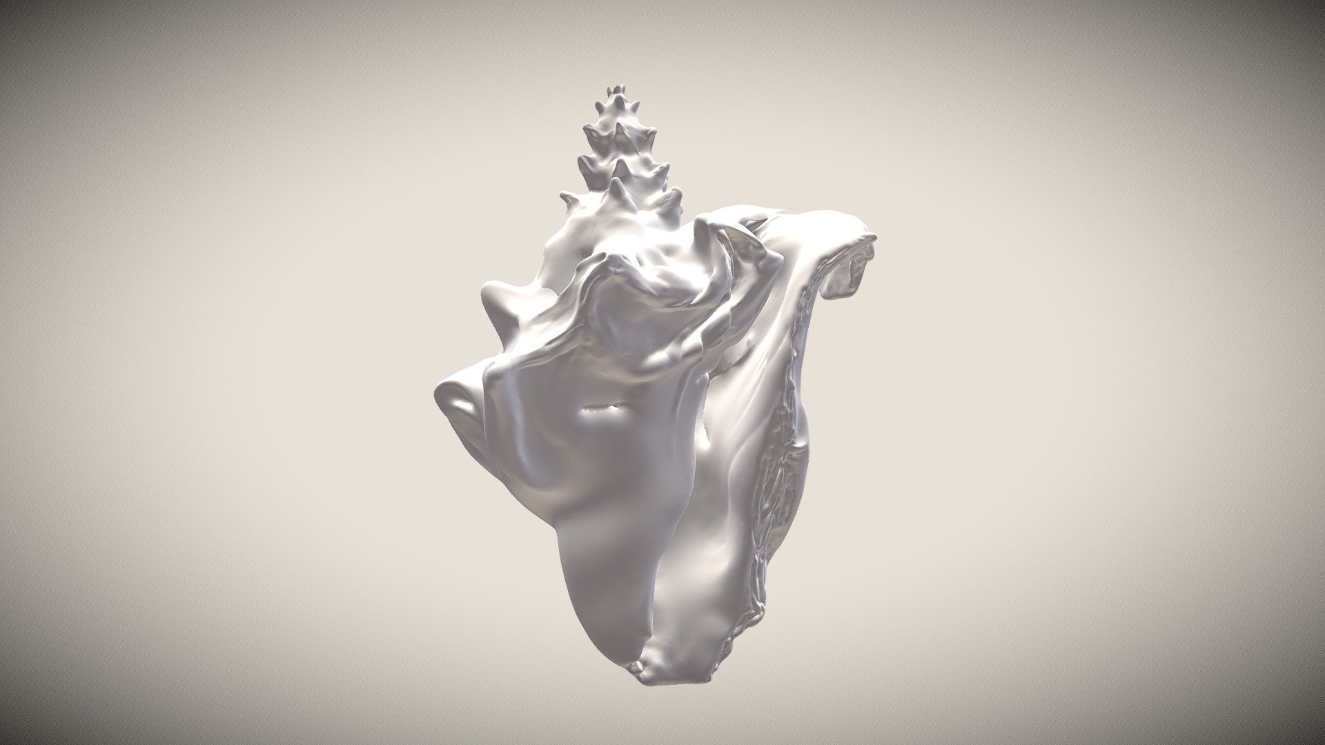 Lord of the Flies Conch Shell 3D model by inkfly [5f8031f] Sketchfab