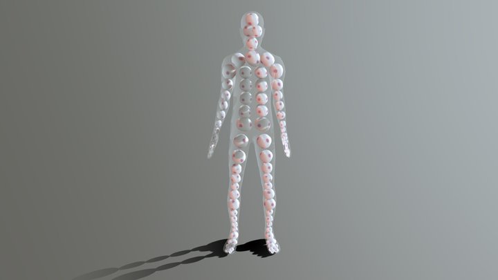 Human Cells4 3D Model