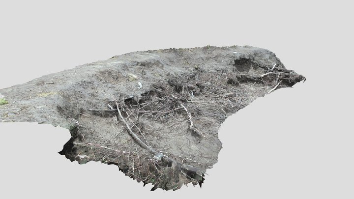 Dirt and roots overhang 3D Model