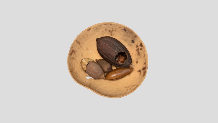 All Maya Foods 3D Model