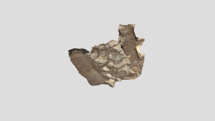 teixosagora_3 3D Model
