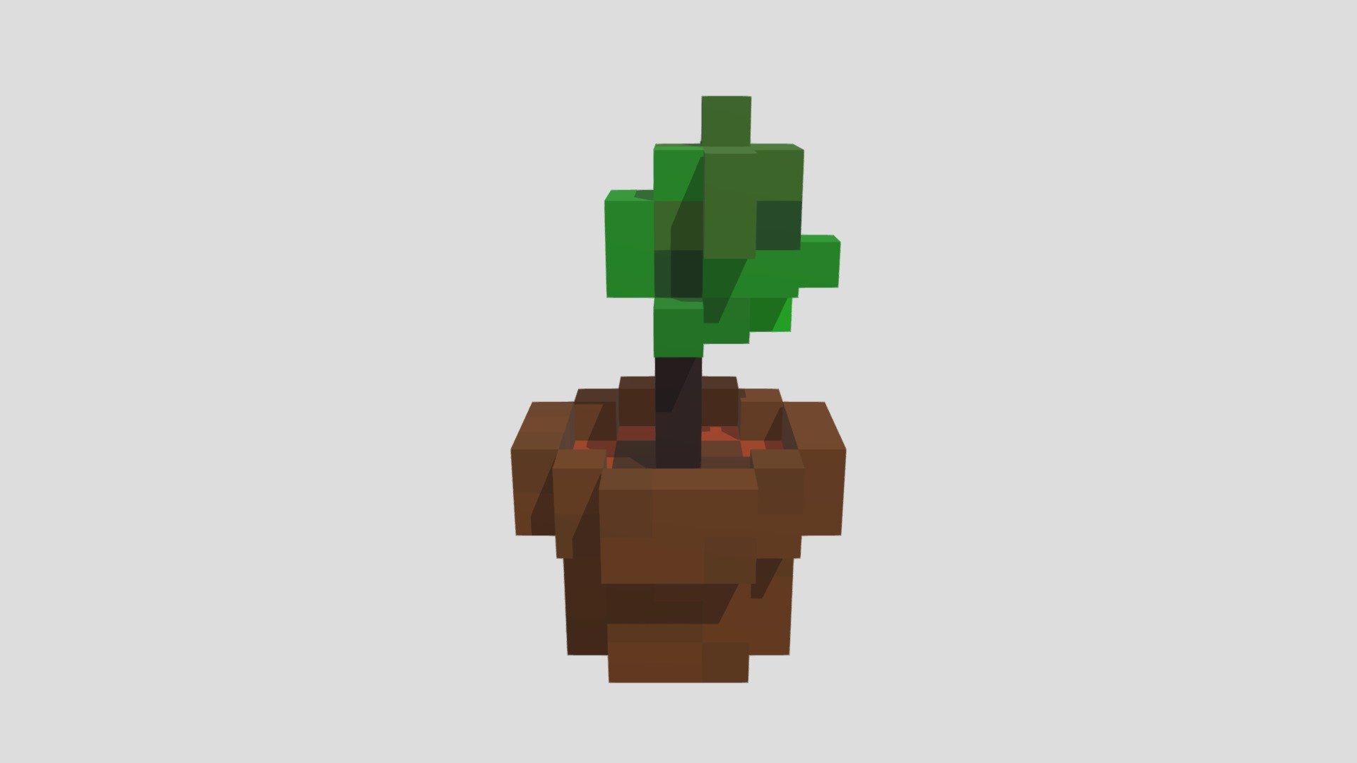 Pot with a small tree