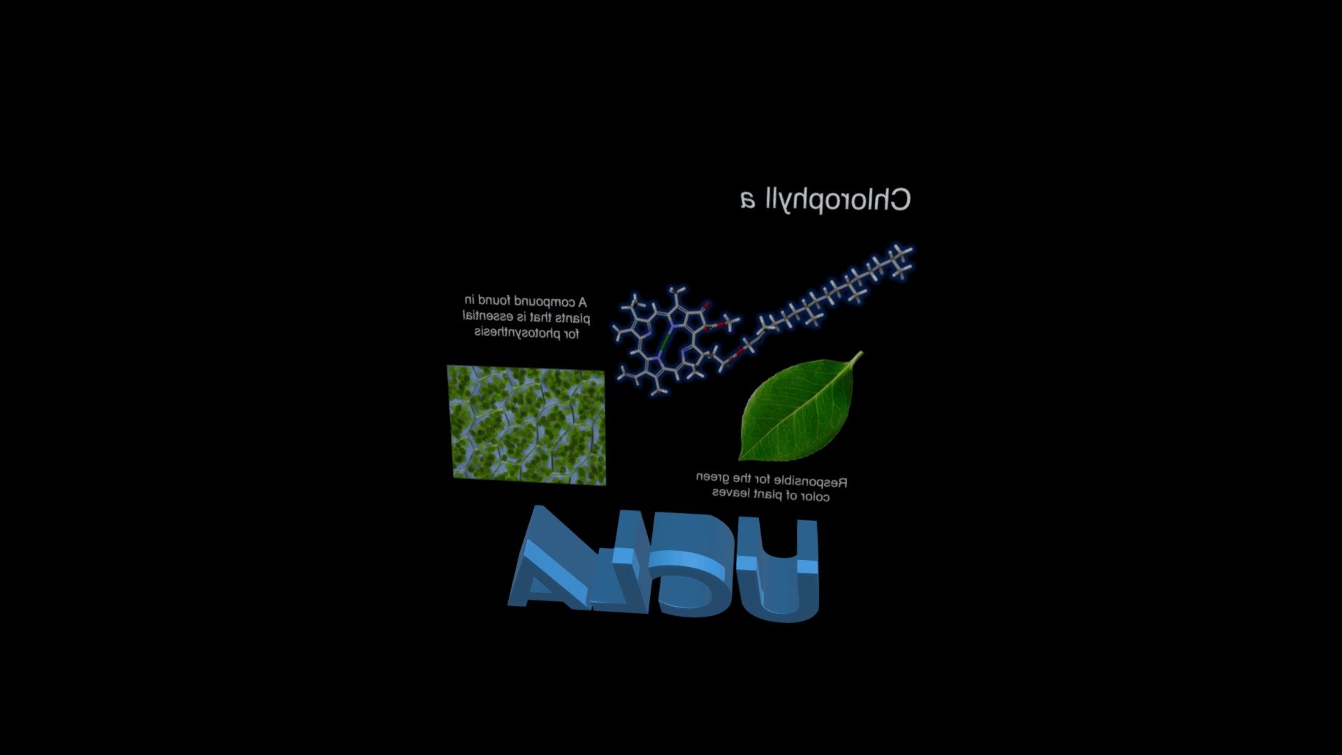 VRChem Molecule of the Day, Chlorophyll