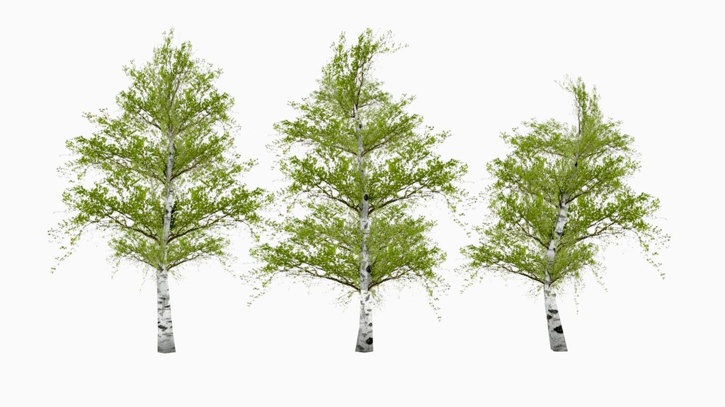 Birch Trees Pack | PS1 Low Poly