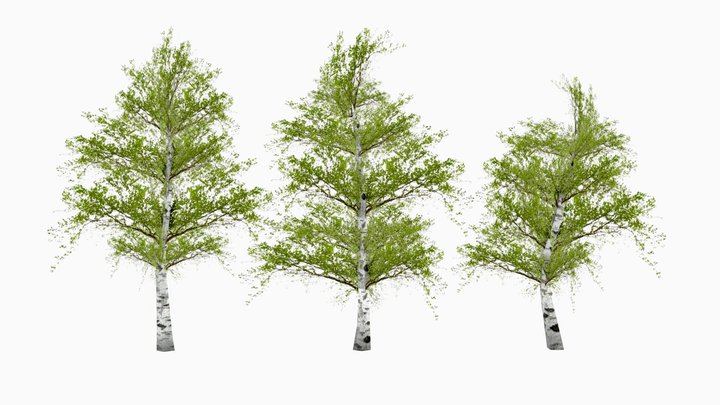 Birch Trees Pack | PS1 Low Poly 3D Model