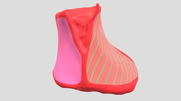 Trapezoid 3D Model