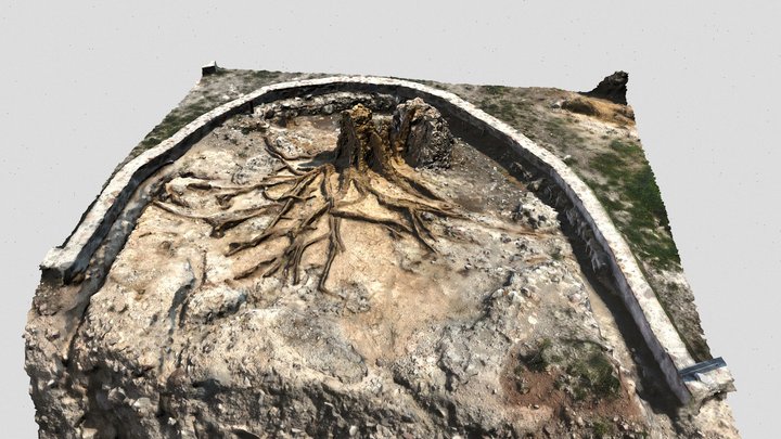 3D Model Riziko_vasiliki – Modello 3D gratuito STL