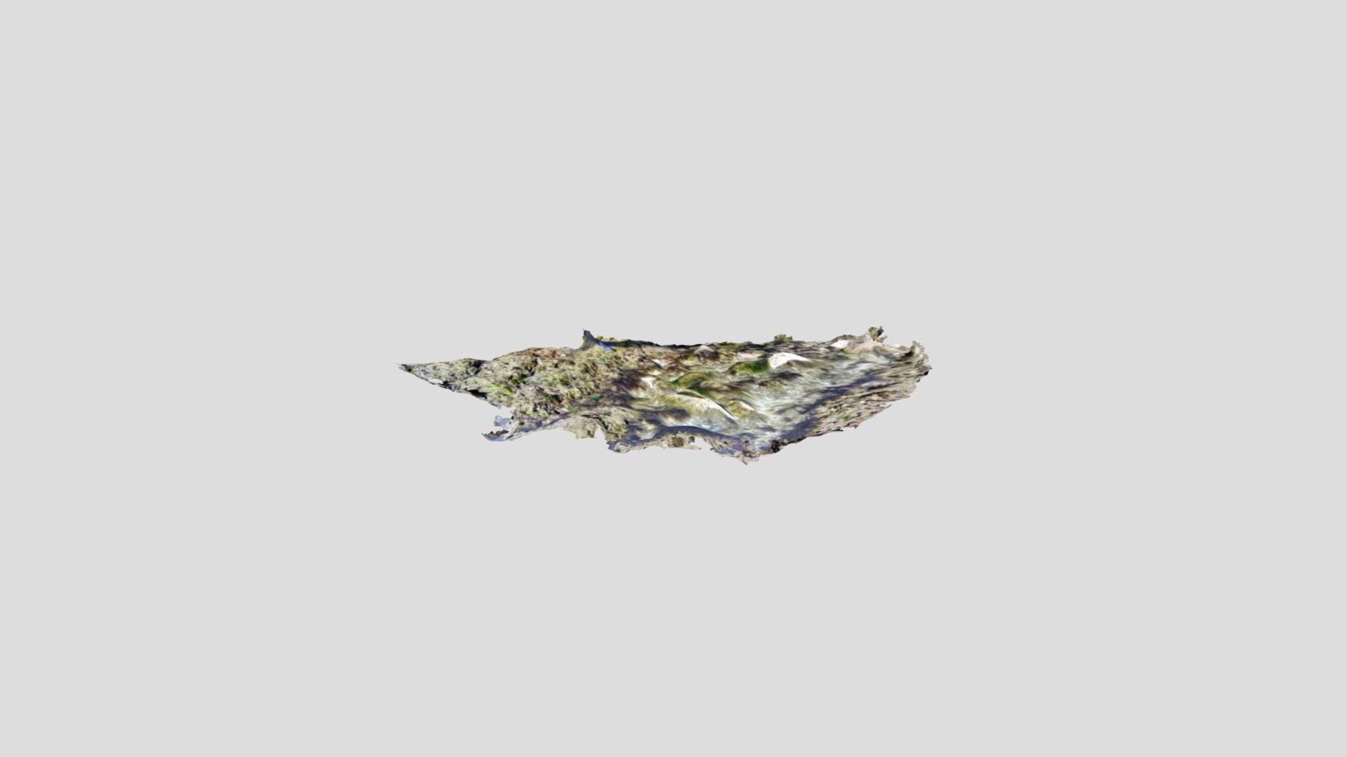 algae floor 2 - Download Free 3D model by fcoanddel [5fa062a] - Sketchfab