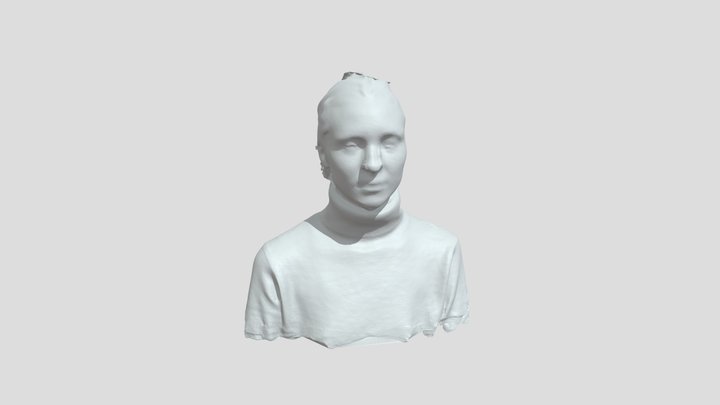 Amber 3D Model