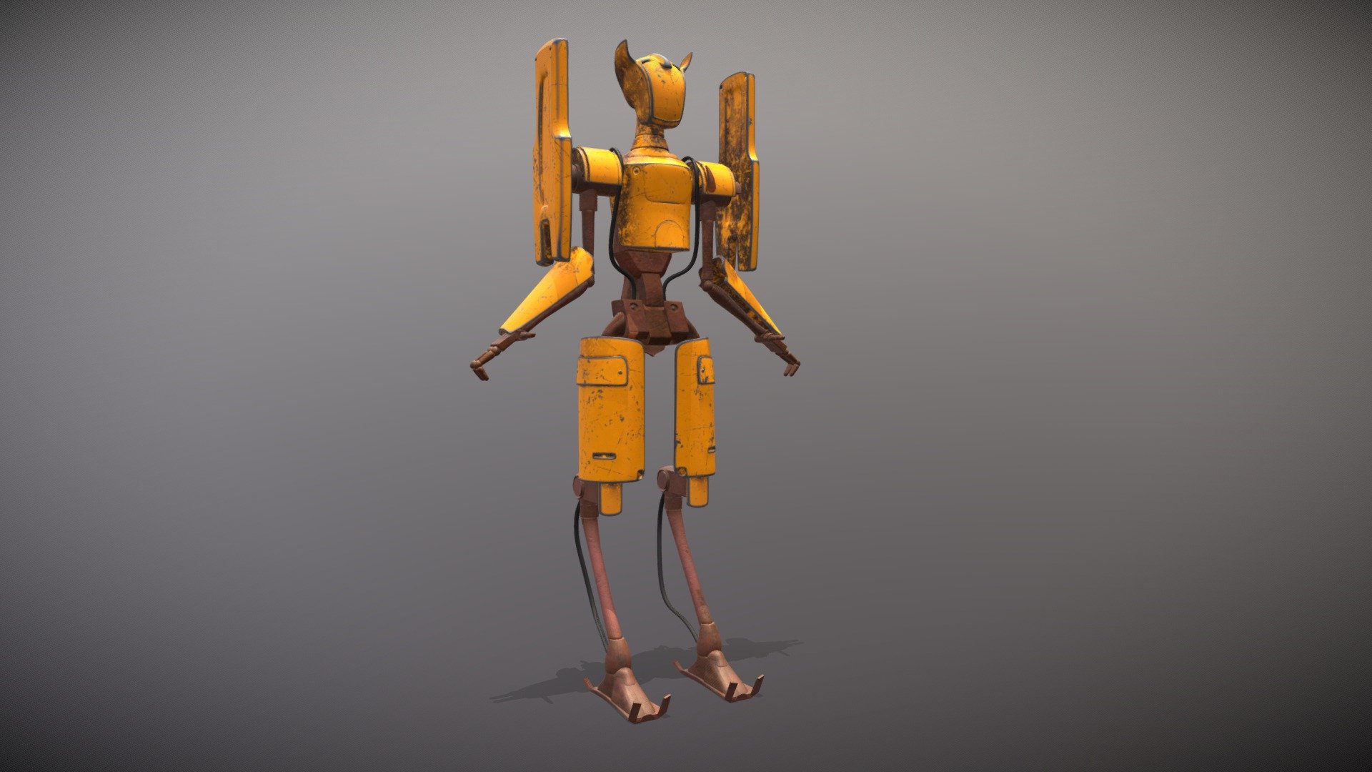 Robot