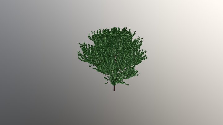 tree 3D Model