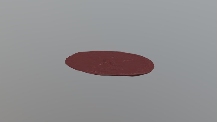Hebilla MNI sin textura 3D Model