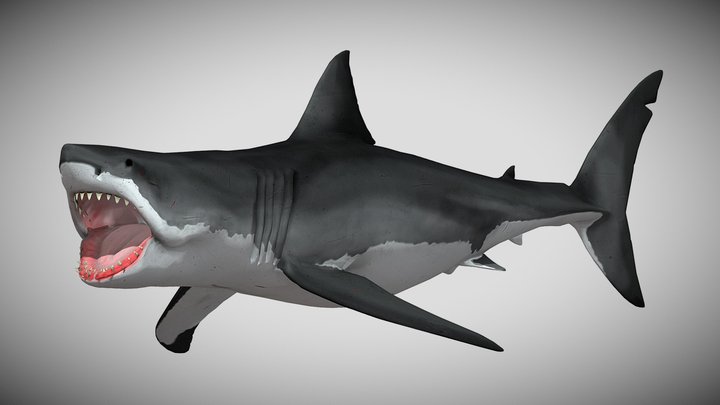 JAWS Bruce the Great White Shark – Kostenloses 3D-Modell STL