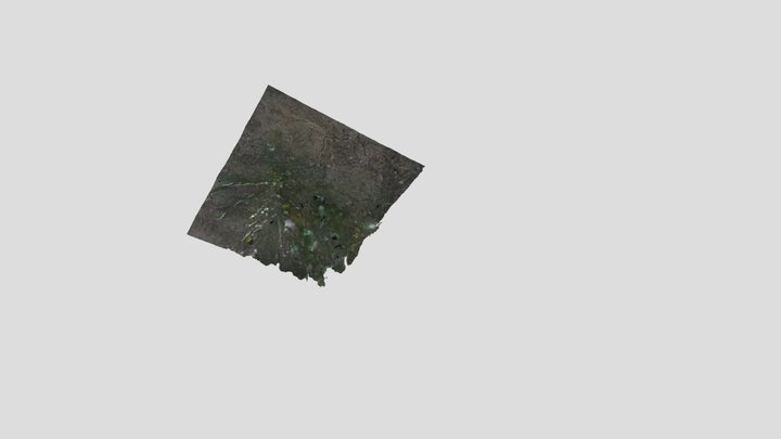 Flower-Photogrammetry 3D Model