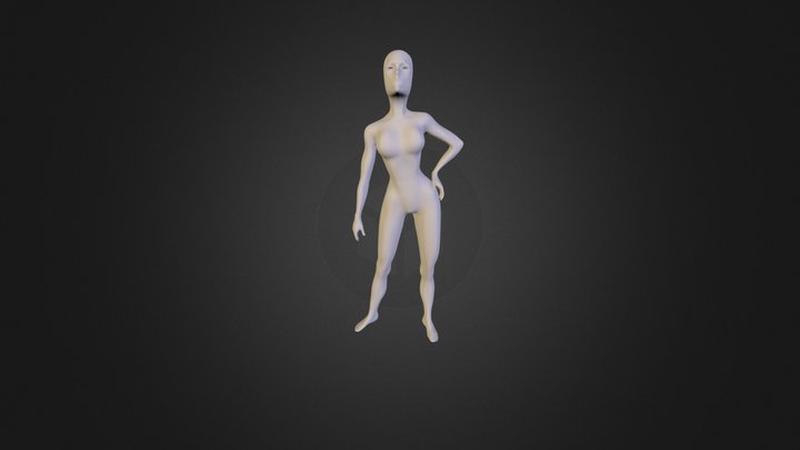 1 3D Model