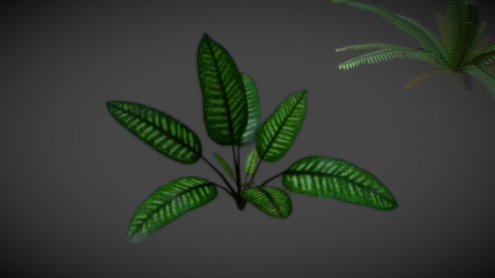 Plantas Ornamentais (W.I.P.) 3D Model