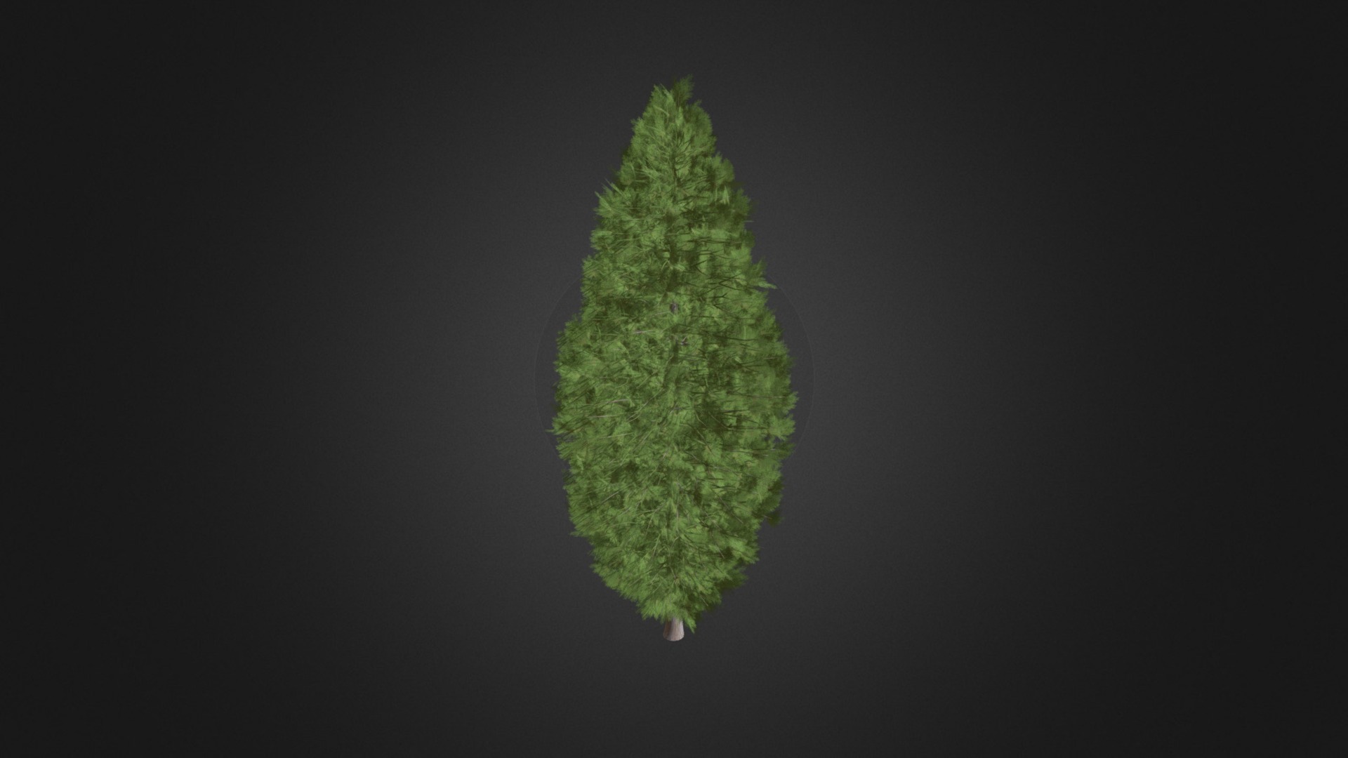 3D model White Cedar (Thuja occidentalis) 3.4m - This is a 3D model of the White Cedar (Thuja occidentalis) 3.4m. The 3D model is about a green leaf on a black background.