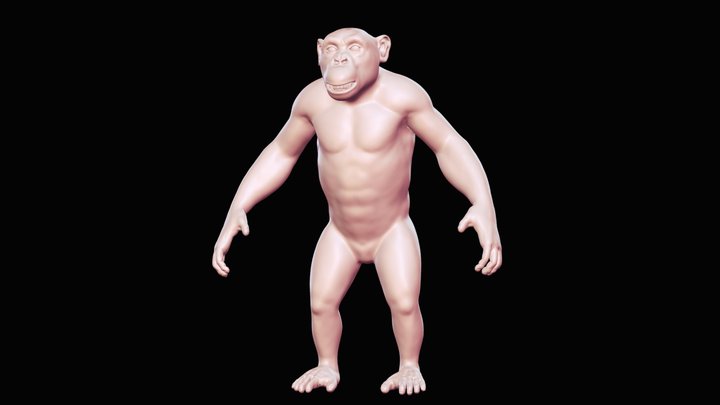 Chimpanzee Base Mesh 3D model 3D Model