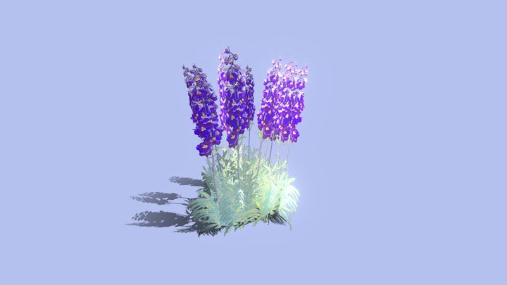06 Delphinium 3D Model