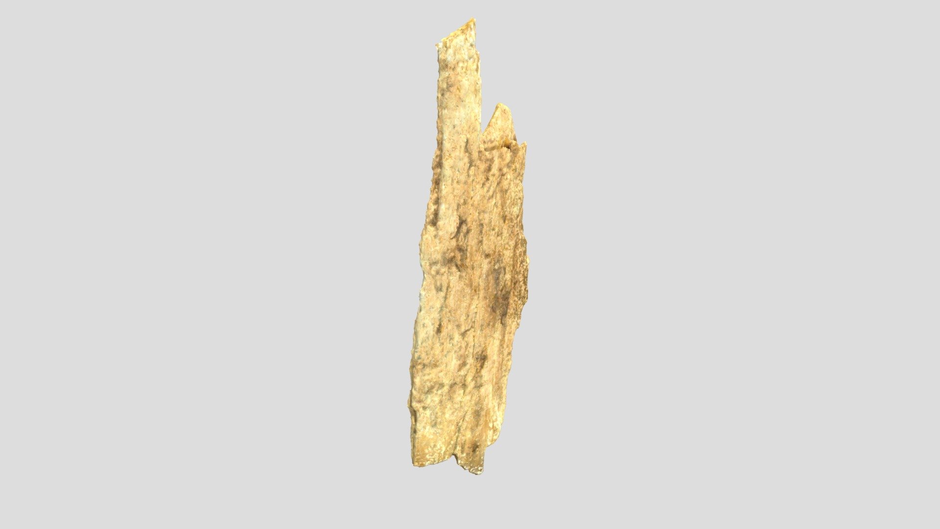 Mammoth Tusk Fragment (VCU_3D_5507) - Download Free 3D model by Virtual ...