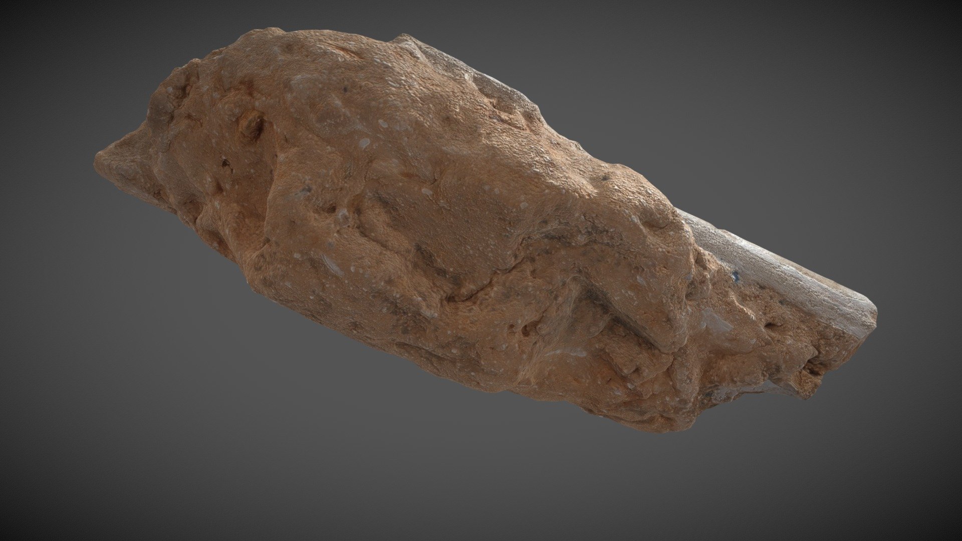 Fragment of cornice - 3D model by Museums of History NSW [5fbfcab ...