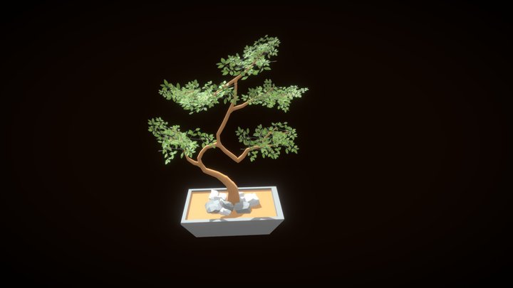 Bonsai_Tree 3D Model