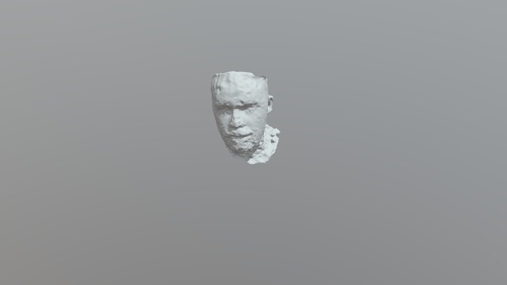 head scan draft 3D Model