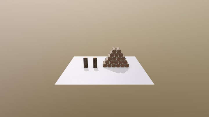 troncos 3D Model