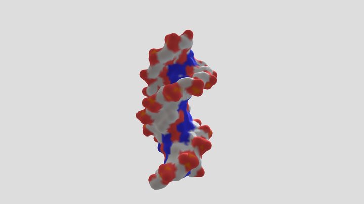 DNA-surface 3D Model