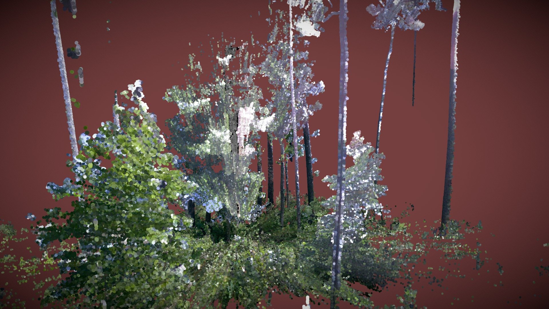 FSMR00200721 Cropped