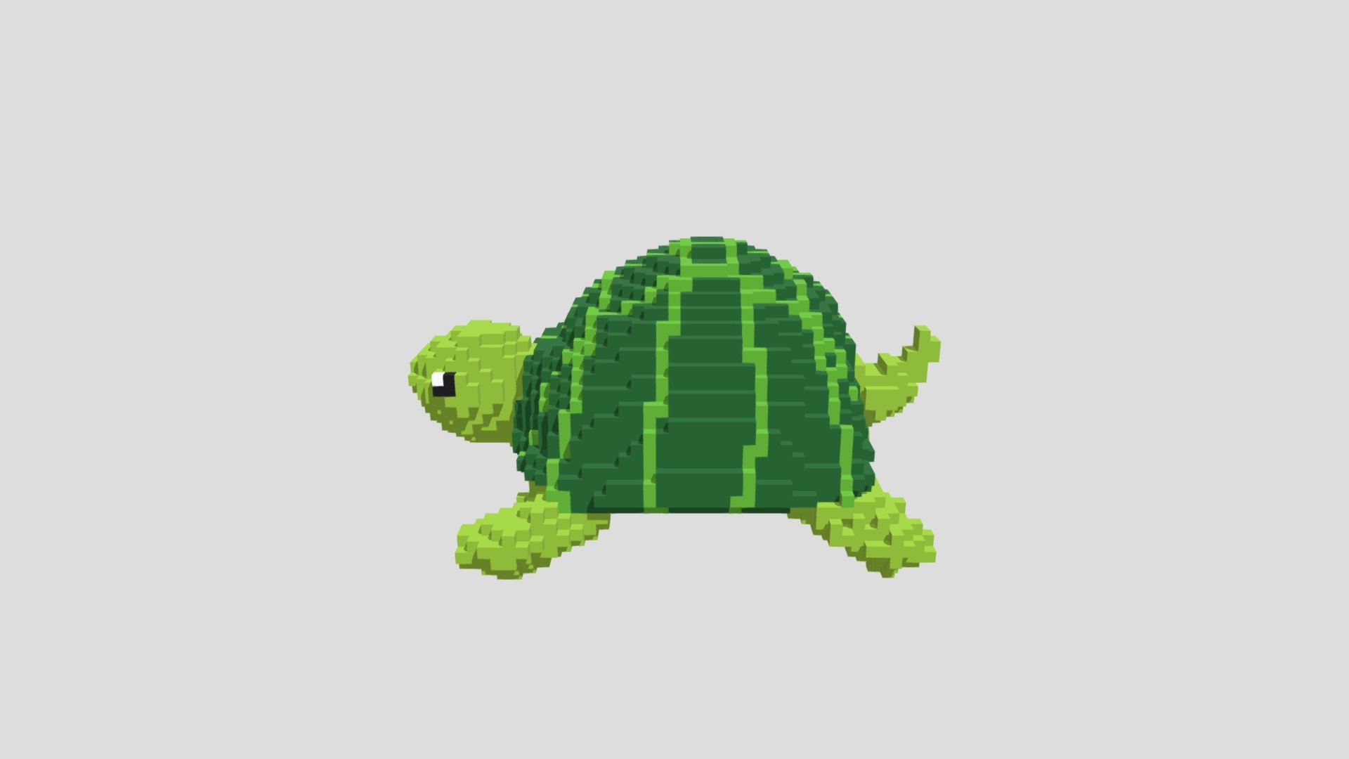 Turtle - 3D model by Tiange (@xianggong) [5fc3ef1] - Sketchfab
