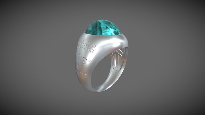 Ring_test 01 3D Model