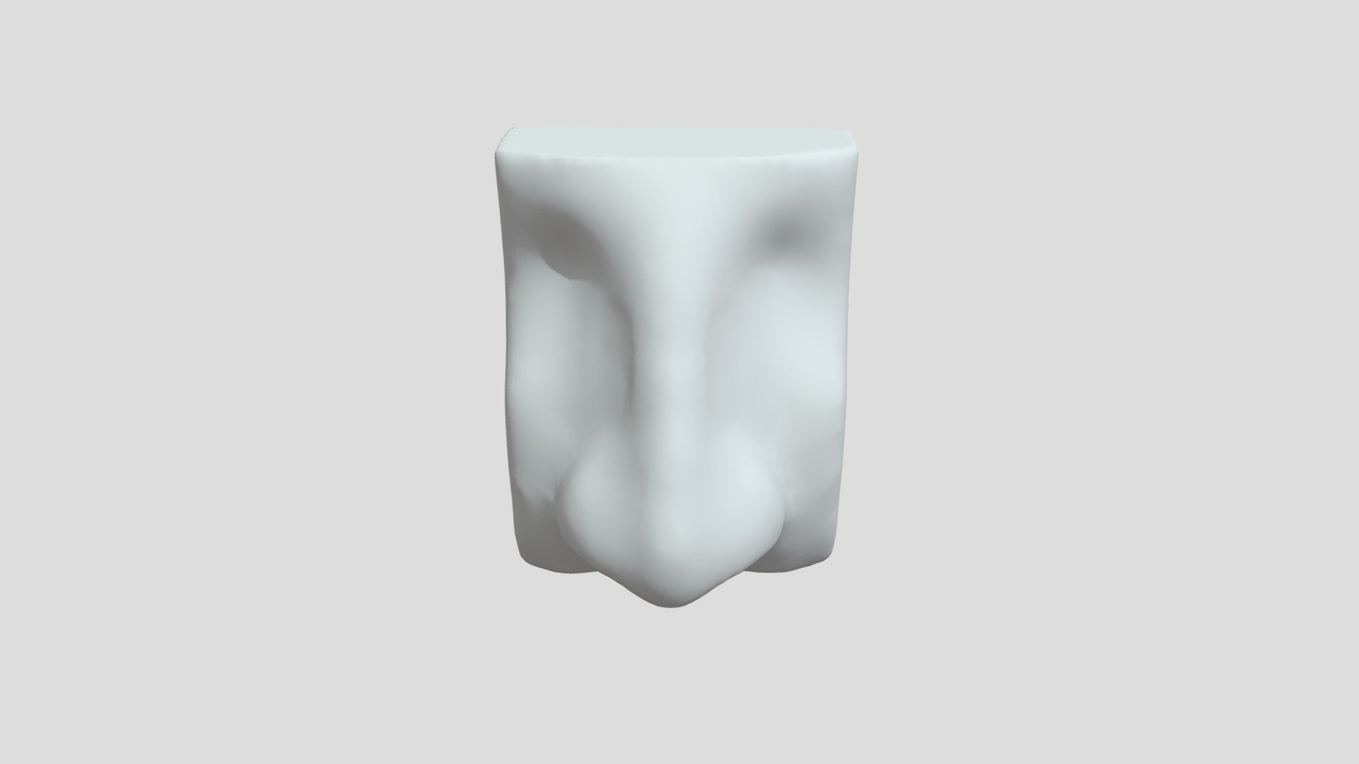 Nose1