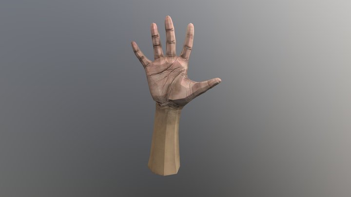 A03 Lowpoly Hand Model 3D Model