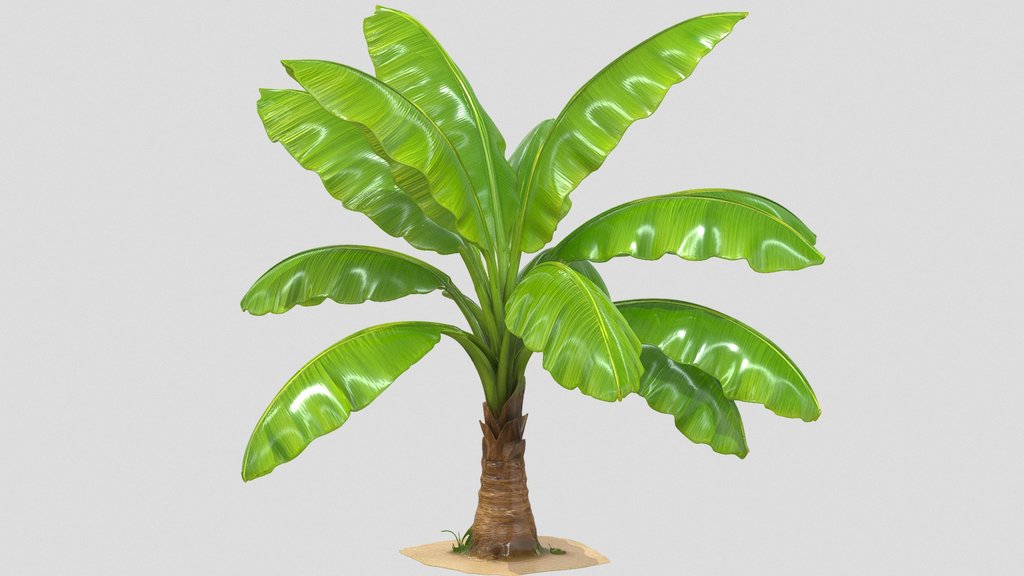 Banana-]X[-Plant-V