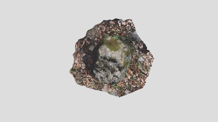 stone in the wood 3D Model