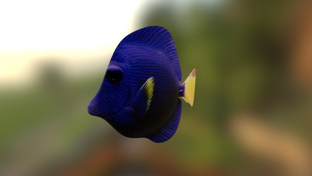 Fish 3D Model
