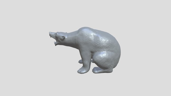 polar bear 3D Model