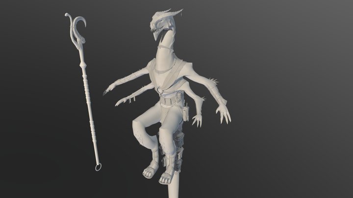 Lizard Wizard Base Mesh 3D Model