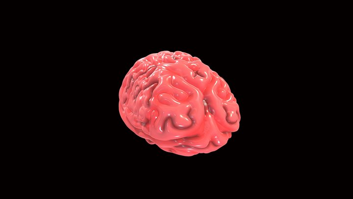 BRAIN EV1LSM1RK 3D Model