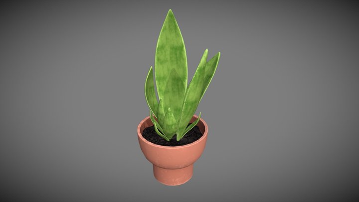 Flower Pot 3D Model