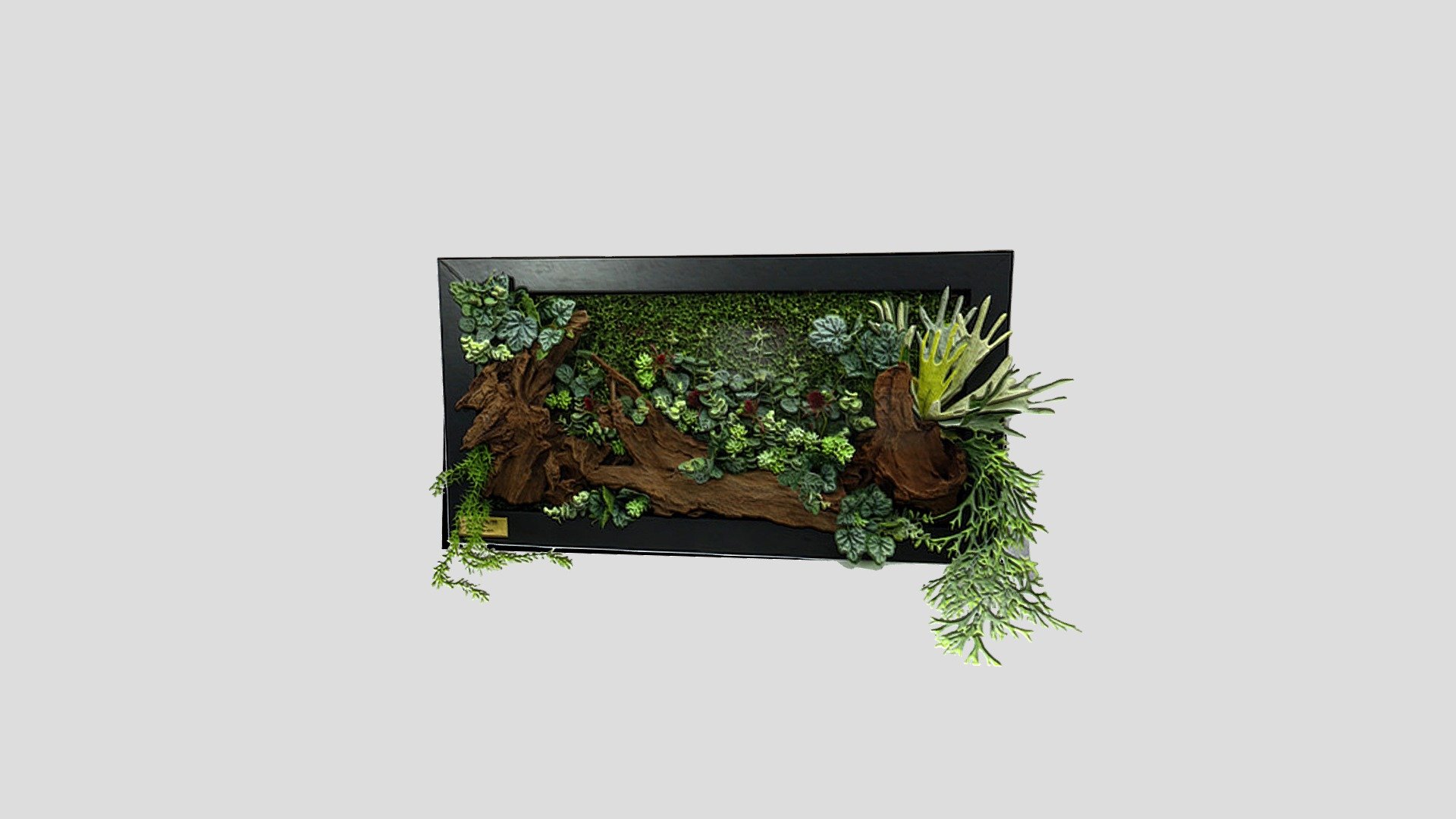 Belantara - Frame Hiasan Kayu Hanyut Ver3