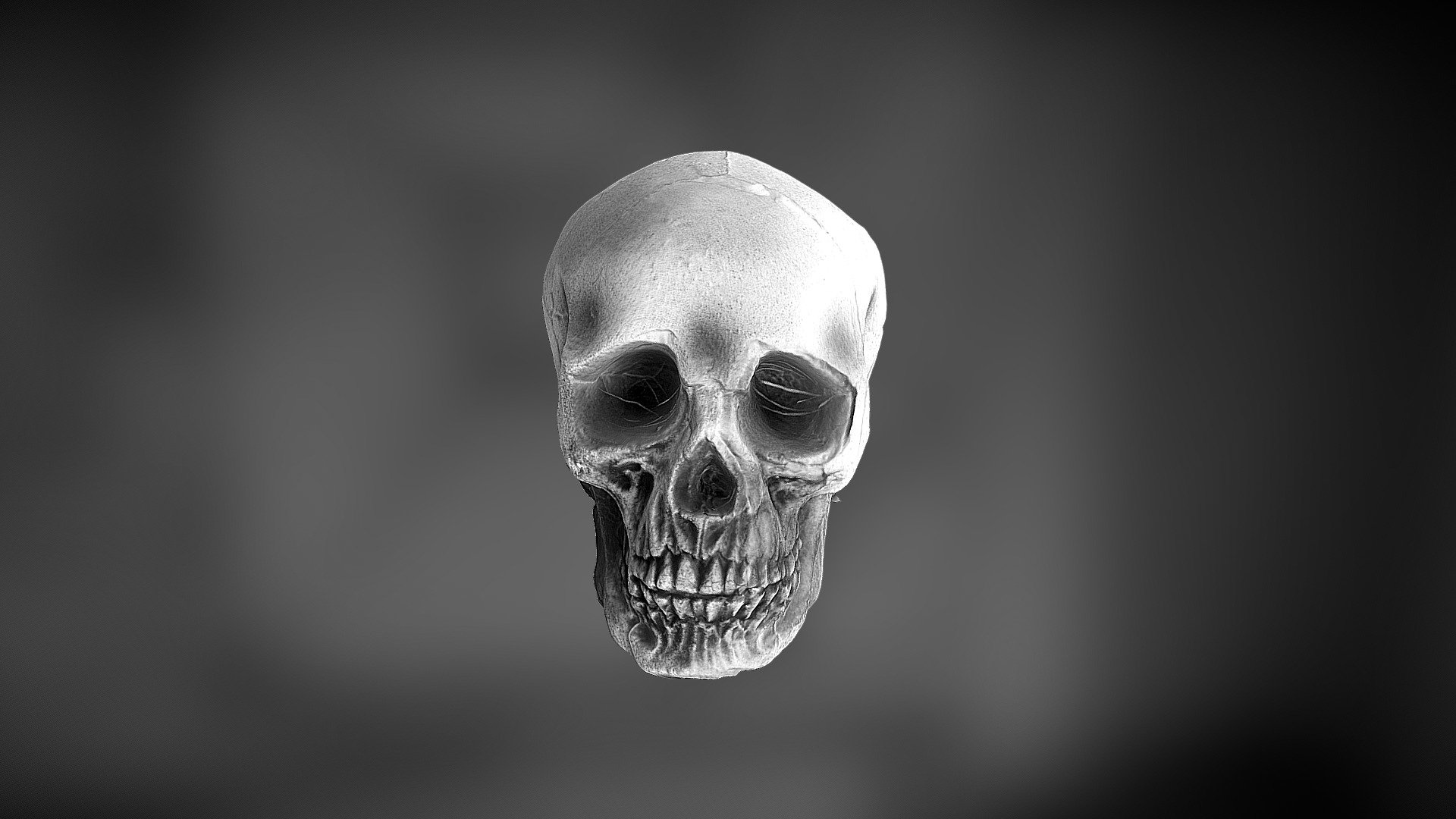 Skull