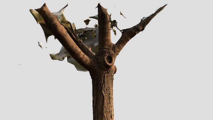 Scan 2022-12-18T22:15:13.729Z 3D Model