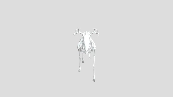 Rusa 3D Model