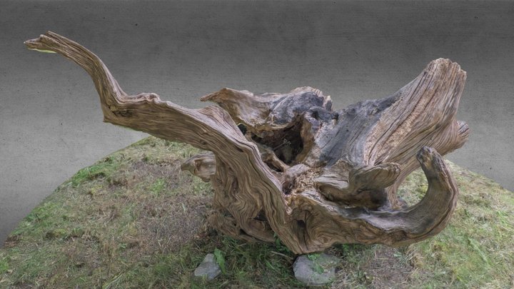 Decorative driftwood