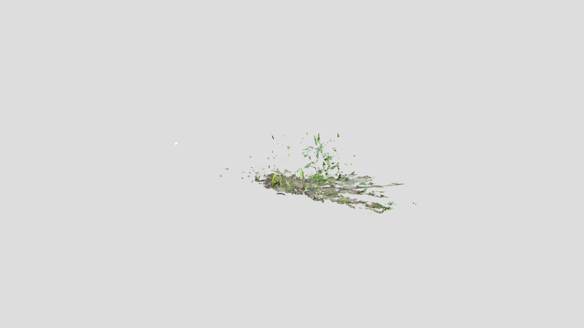 mais-skin-2