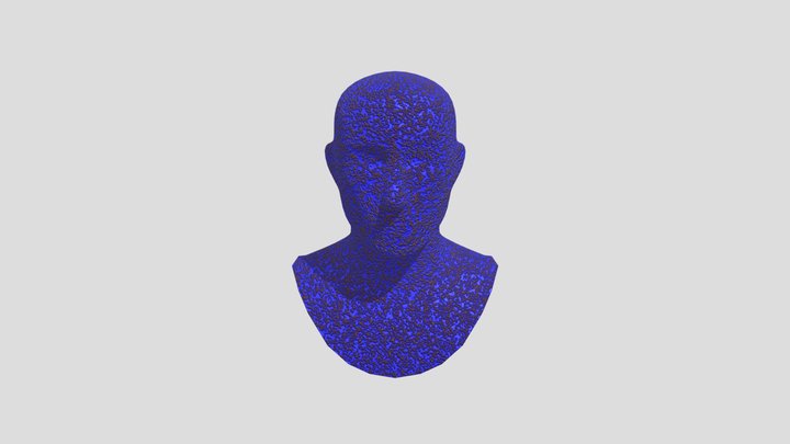 head 3D Model